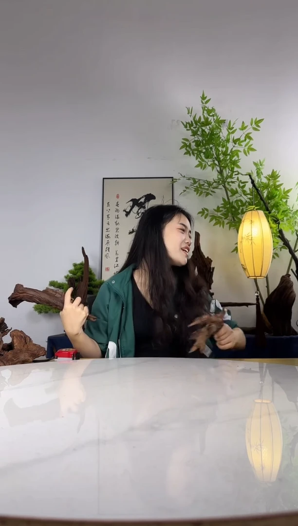 洛*拍这个定向编号12