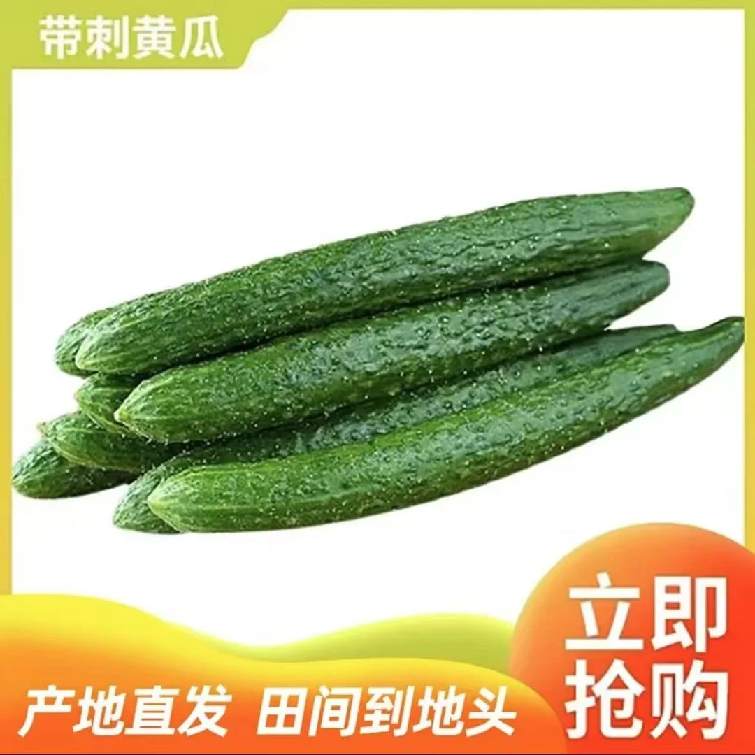 菜园现摘现摘现发新鲜绿瓤黄瓜脆甜爽口2500g黄瓜（5斤装）