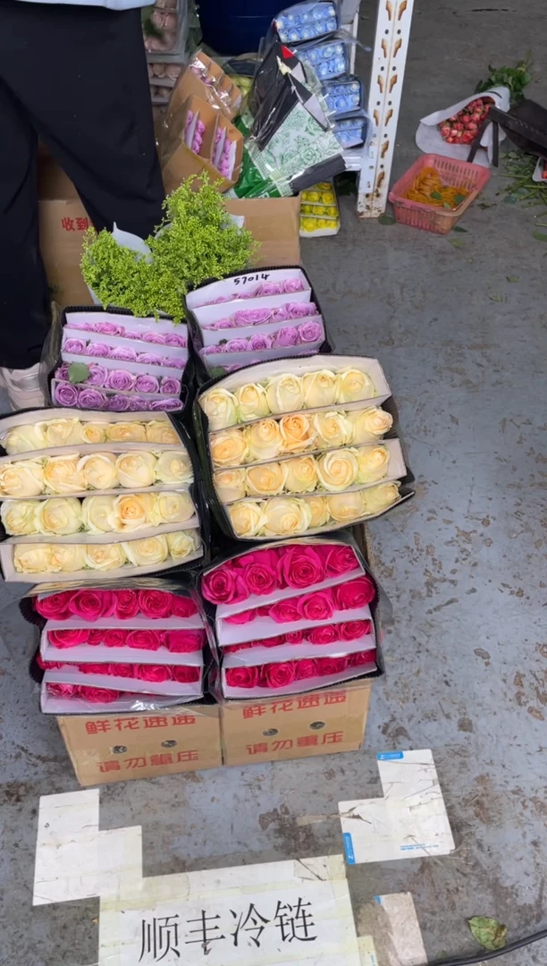 佛洛依德20枝+香槟20枝+海洋之歌20枝+黄莺