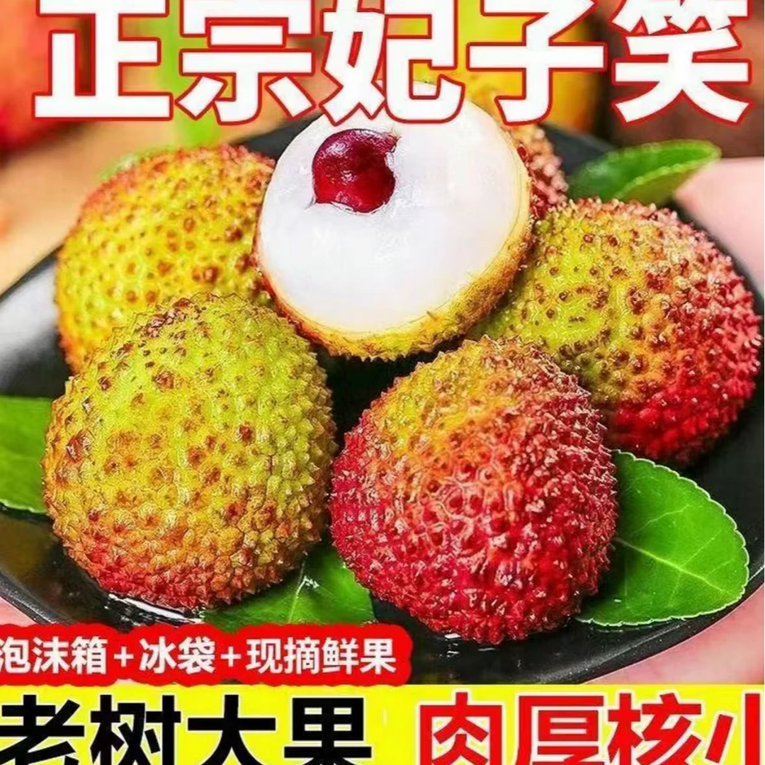 【妃子笑】新鲜荔枝荔枝现摘现发鲜荔枝当季大水果果王5斤