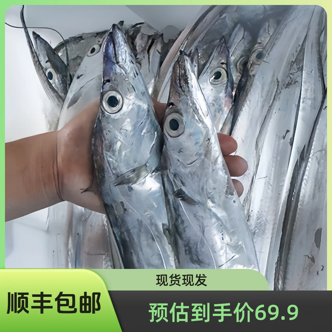 日照本地小眼有带鱼 深海油带鱼五斤13-15条BBB