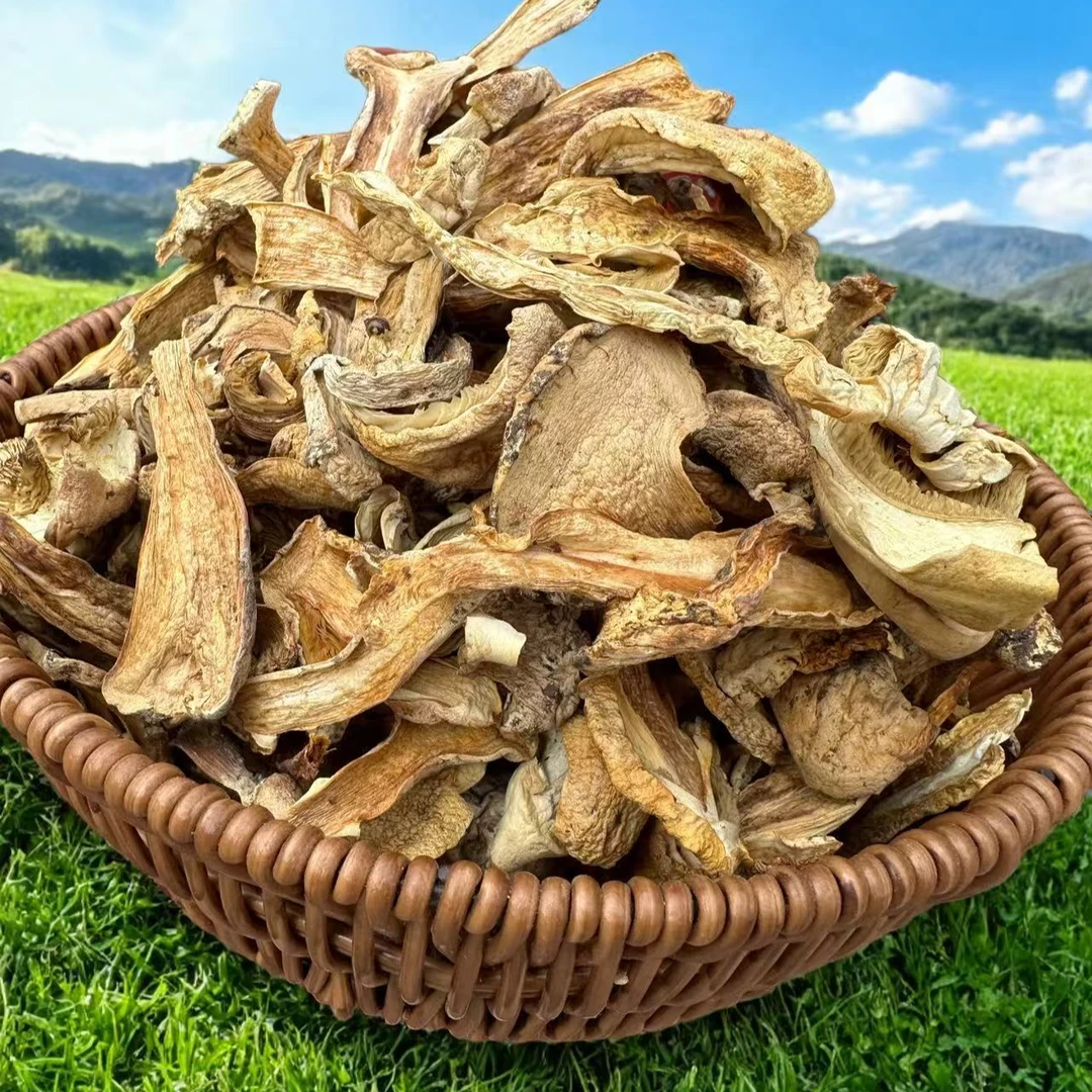 祁连山黄金菇高海拔珍品深山珍稀菌菇顺丰包邮