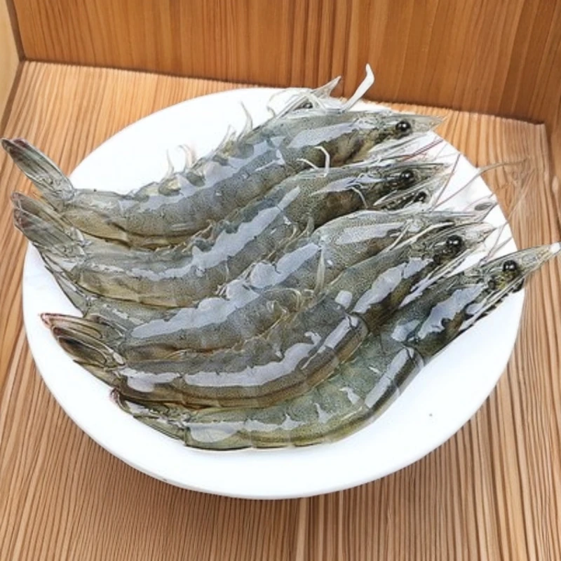 鲜活海水大虾100元5斤