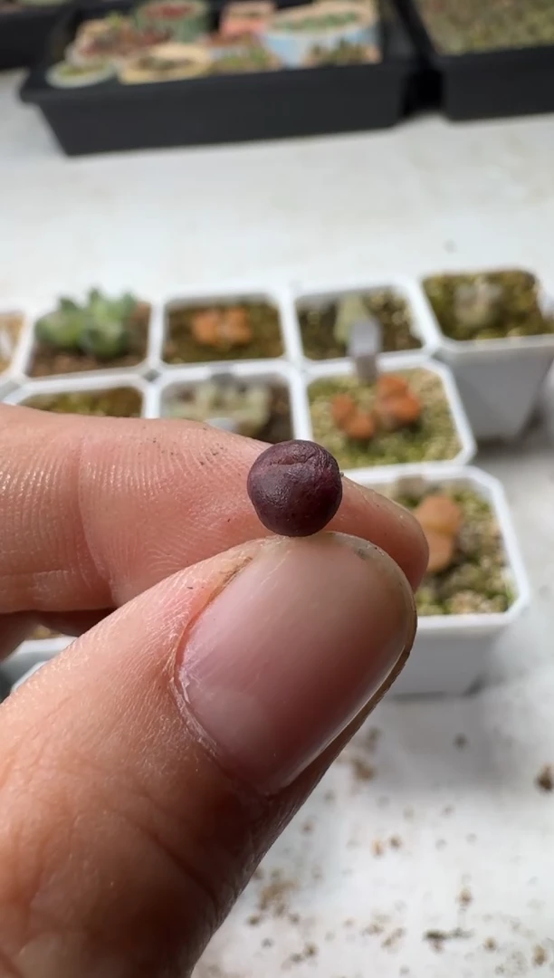 【闪购商品】1/23-179