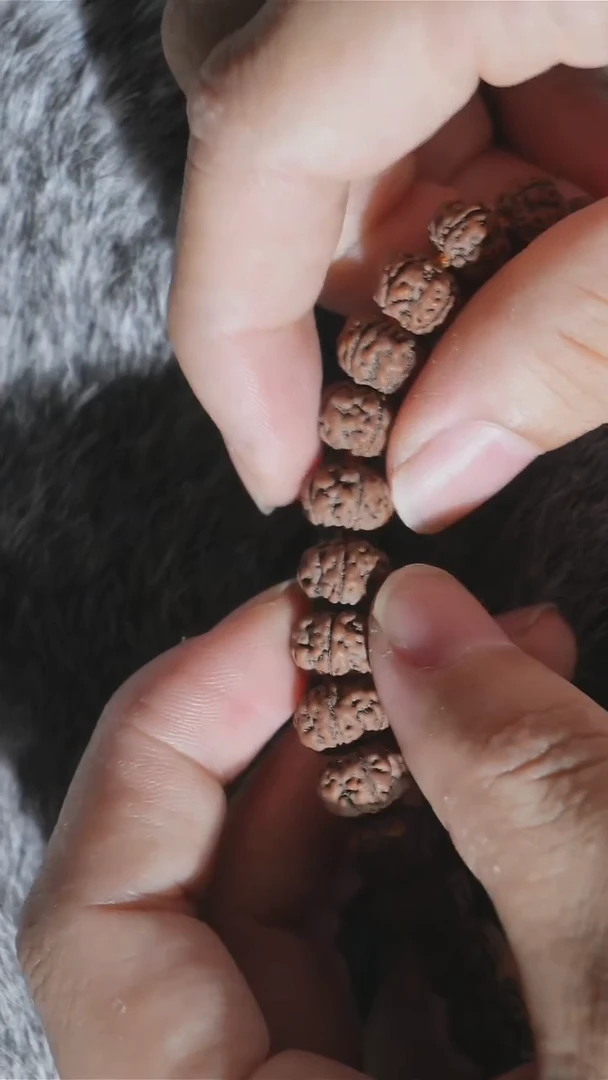 金刚菩提手串纯血勿里达老树王手串9+mm