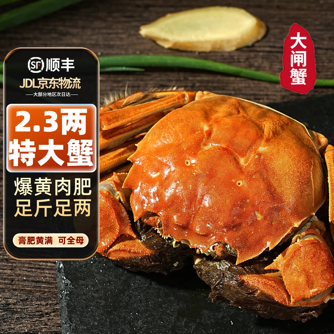【活蟹】苏州精品大闸蟹2.3-2.0两全母蟹6只+2只到手8只礼盒装