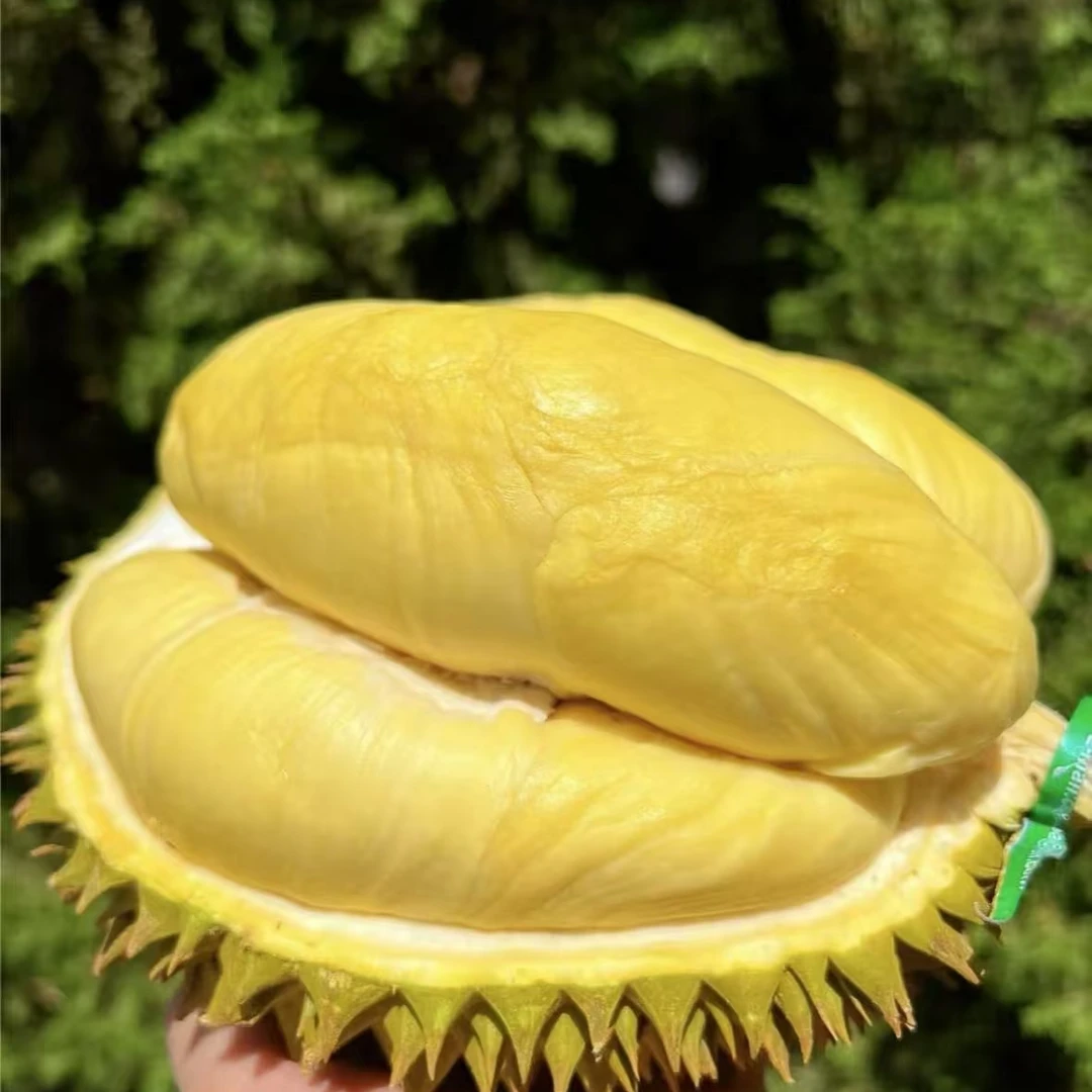 【福利果榴莲不要抢拍】抢拍不发货 直播间福利果金枕榴莲核小新鲜 500g金枕泰国东部