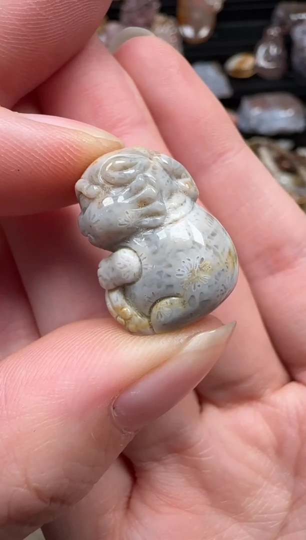 颈饰未镶嵌硅化珊瑚（珊瑚玉）603