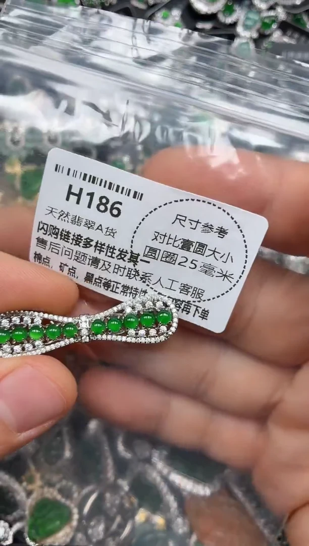 颈饰未镶嵌翡翠H186发夹