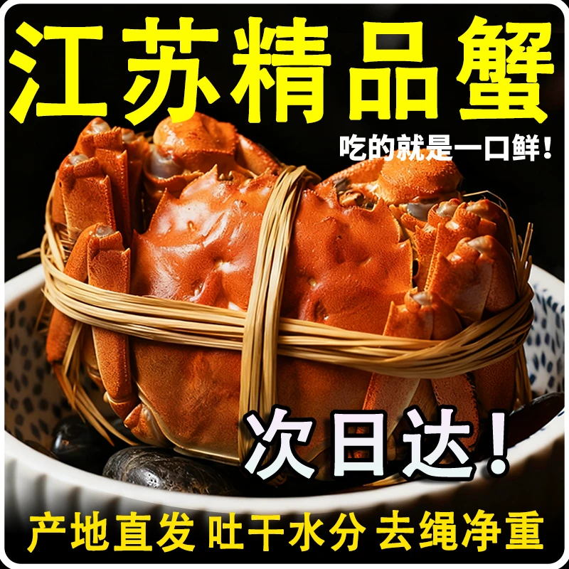 【活蟹】江苏精品大闸蟹公4.0-3.7两母3.0-2.7两加2只到手10/8/6只精美礼盒装G