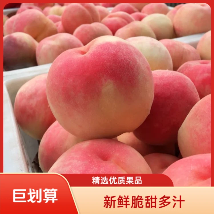 【脆蜜桃】山西头茬脆甜蜜桃香甜多汁新鲜脆甜毛桃水果产地直发