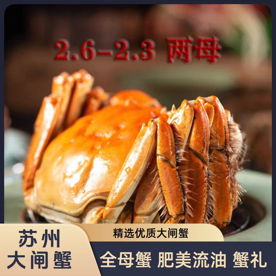 【活蟹】苏州精品大闸蟹 全母蟹 2.6-2.3两 8-10只装 现货空运 现货