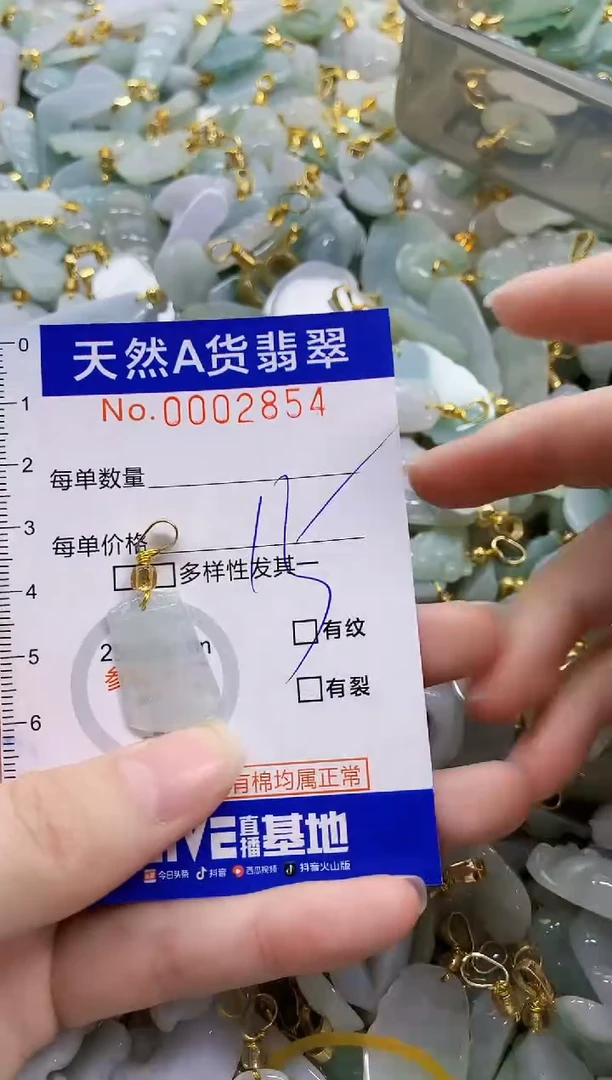 颈饰未镶嵌翡翠天然A货翡翠