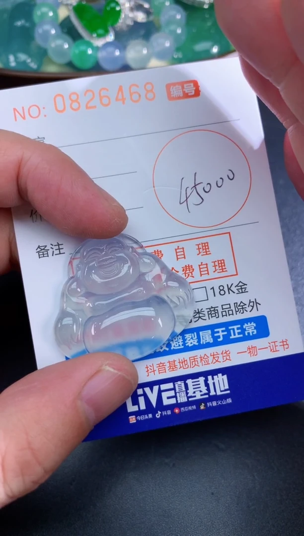 颈饰未镶嵌翡翠天然A货翡翠