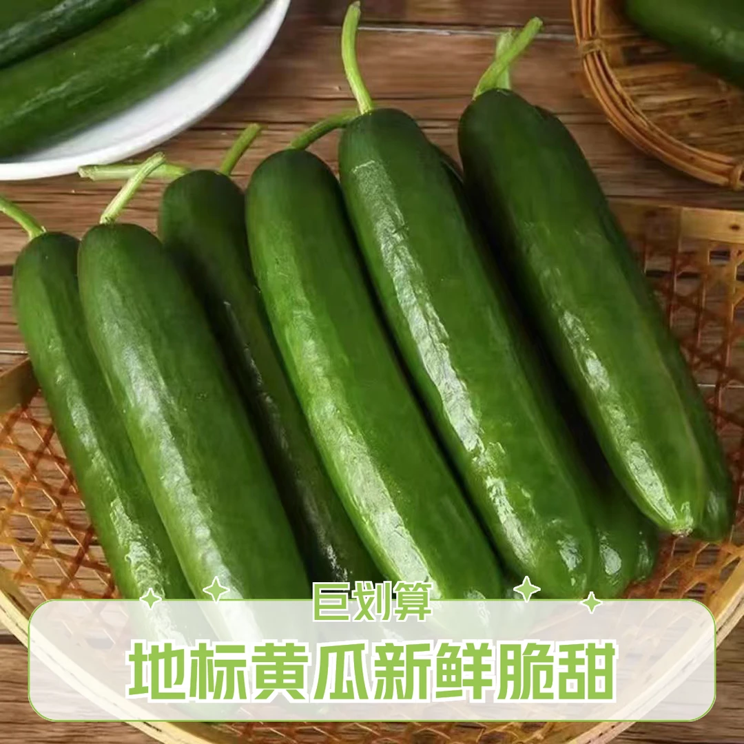 【地标甄选】新鲜水果黄瓜当天现摘现发小黄瓜黄瓜同城送黄瓜同城配