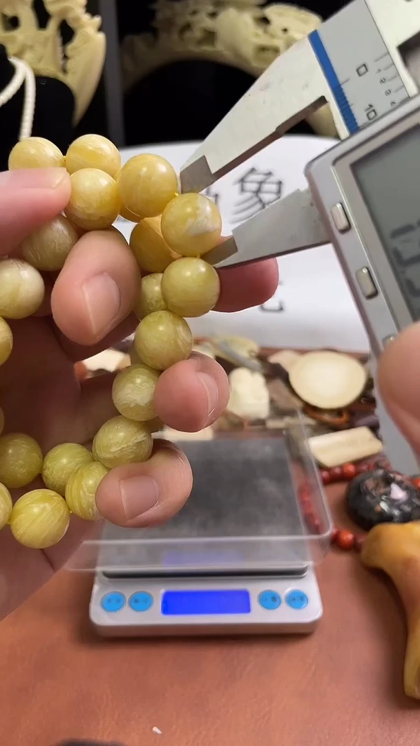 猛犸社会牛14m圆珠单圈