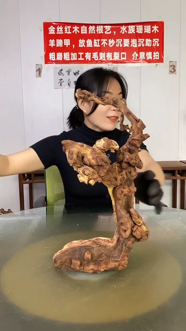 木一***＊金丝红木 羊蹄甲