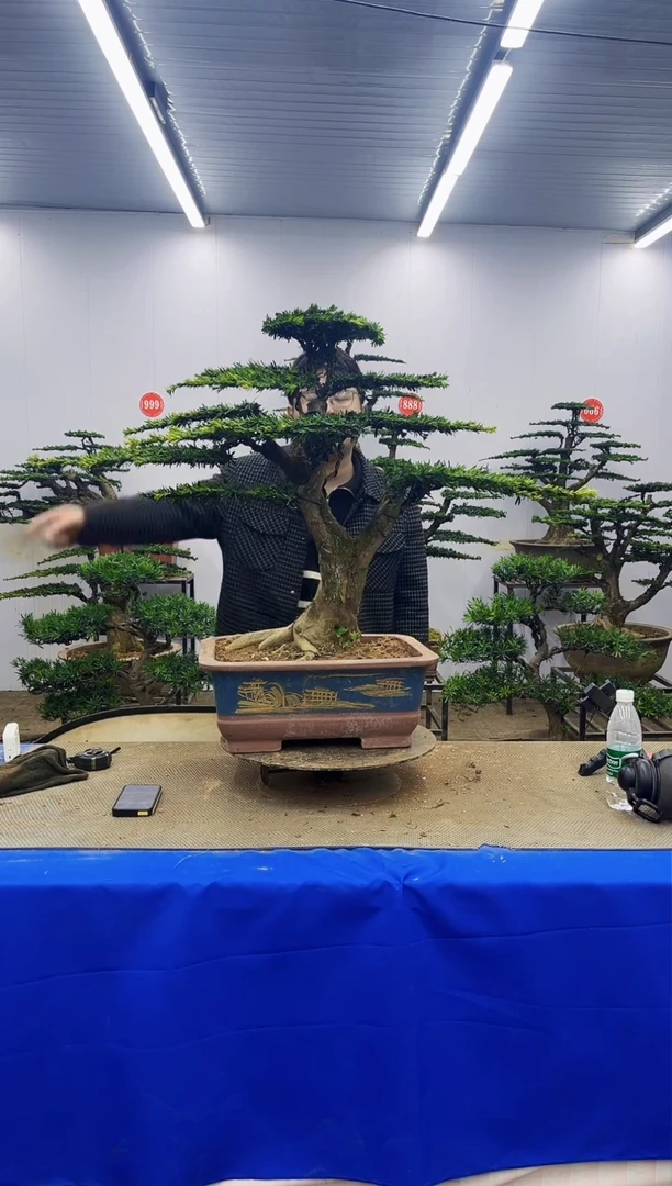 完全开放一物一拍，所见即所得