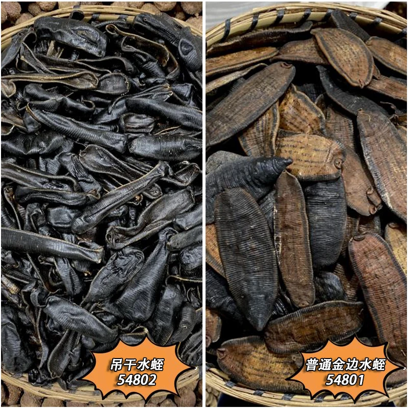水蛭 吊干水蛭 有吊孔 金边宽体金线 云南生晒无硫散装 另有砂仁