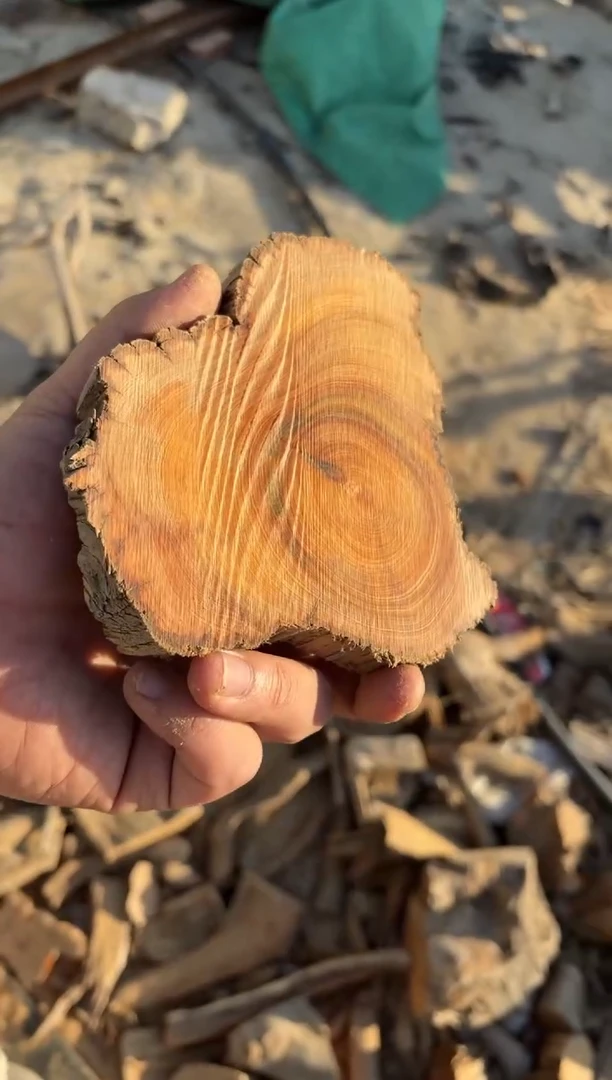 【闪购商品】柏木（崖柏）南太行崖柏毛料1