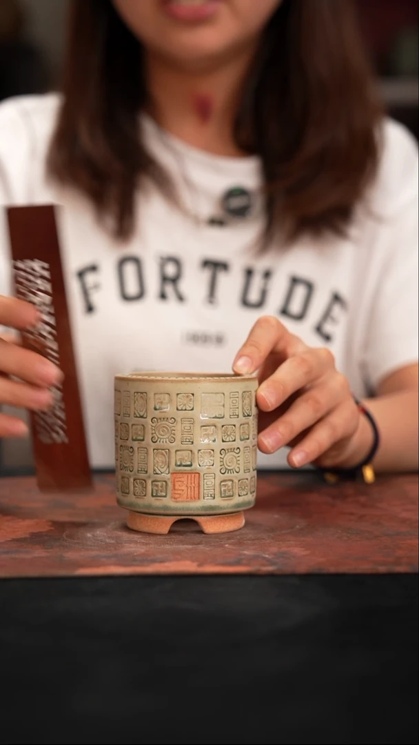 6-13-029花盆口径6