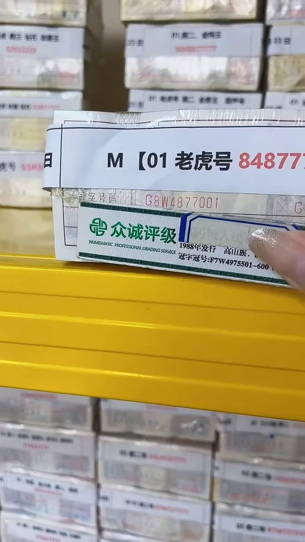 M 【01 老虎号 84877777】