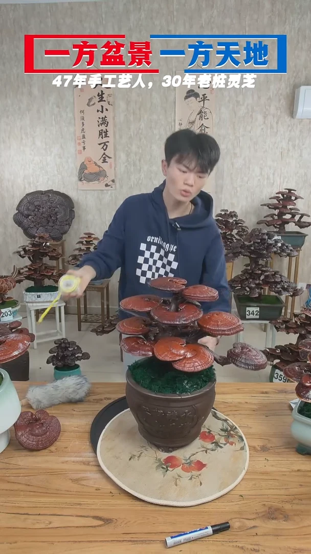 以实际为准开播福利248元