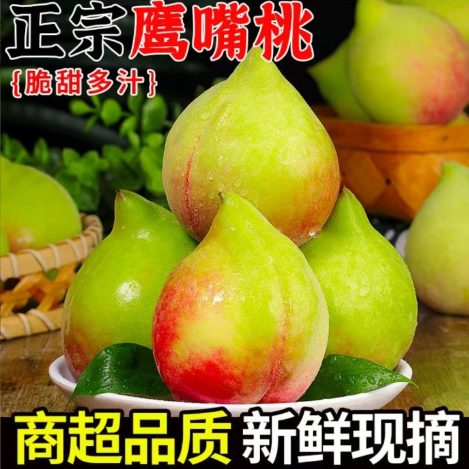【现摘现发】应季鹰嘴桃大果整箱桃子脆甜鹰嘴甜脆新鲜应季孕妇水果