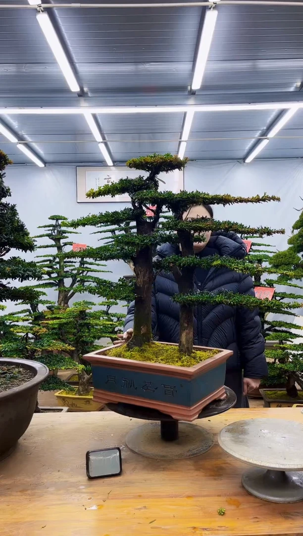 无花朵一物一拍·所见即所得