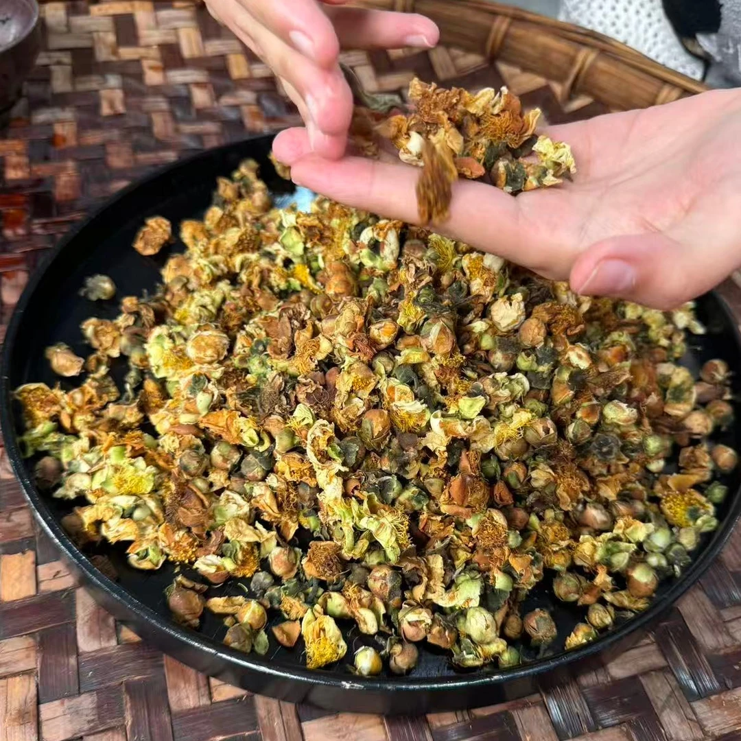 2025年凤庆 春 荒山古树茶花紫冬花  12月28-E89