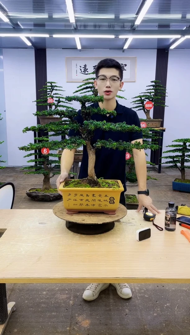 无花朵小**了00000000000