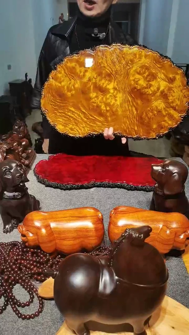 木昵***置黄金樟，干泡
