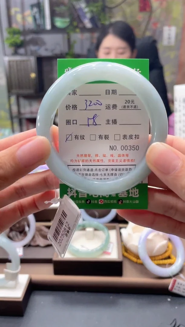未镶嵌手镯翡翠350*****