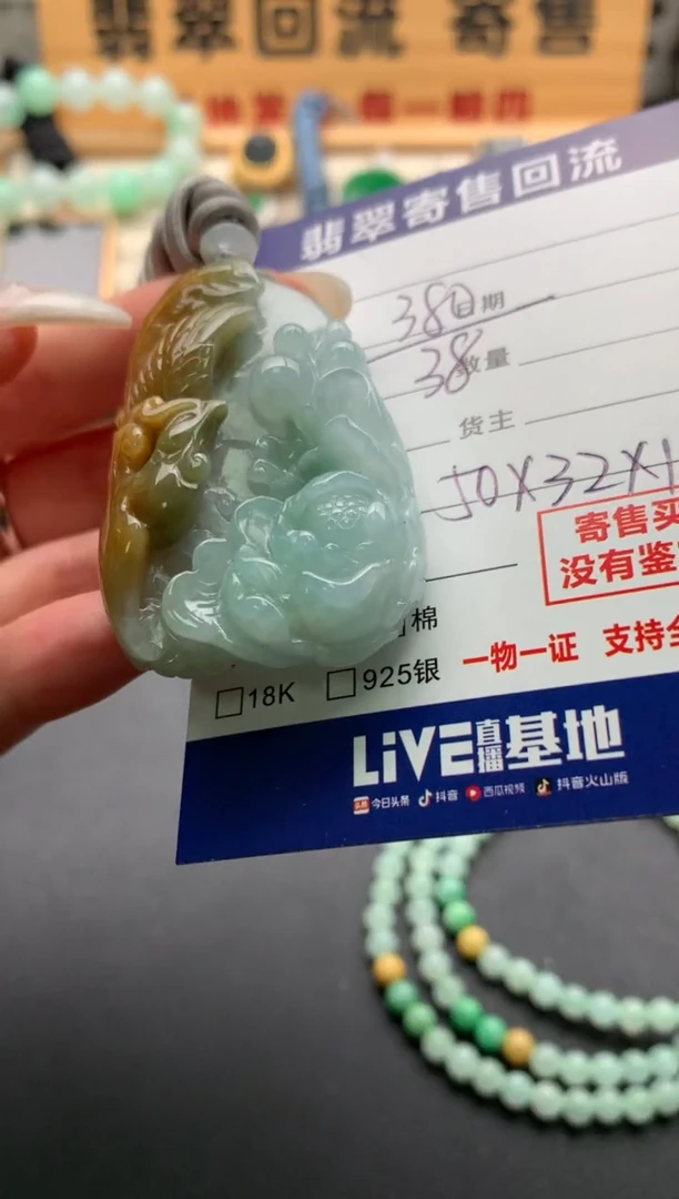 翡翠未镶嵌颈饰10138381