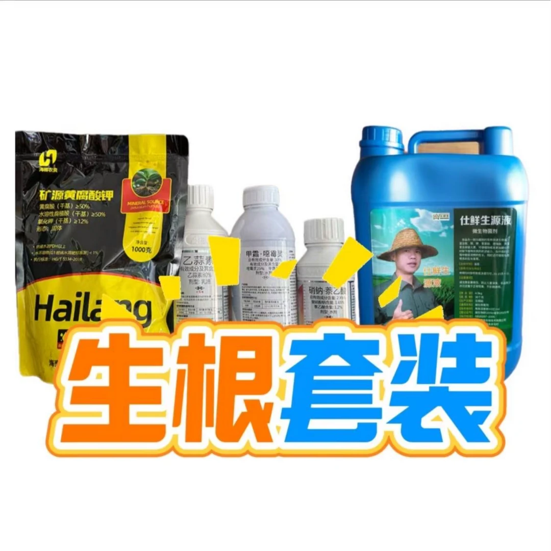 仕鲜生生根套装（老班长推荐）