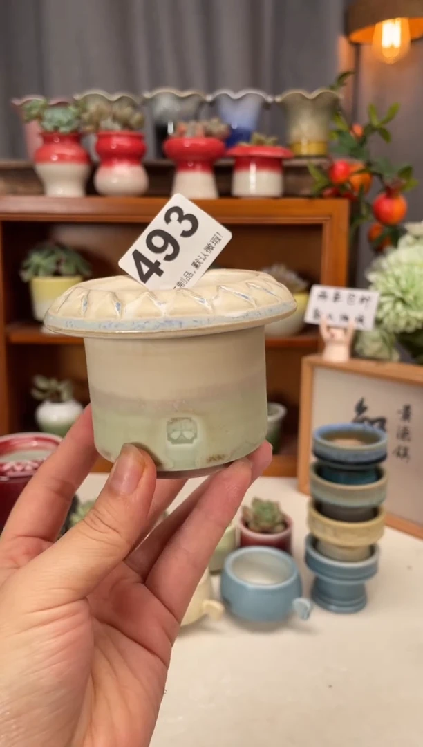 瓷片493小方直播编号