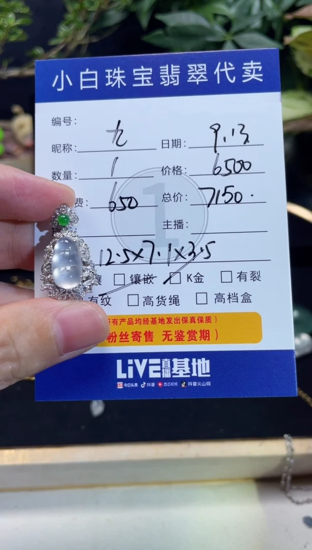 吊坠(不含链)18K金镶嵌翡翠九*吊坠