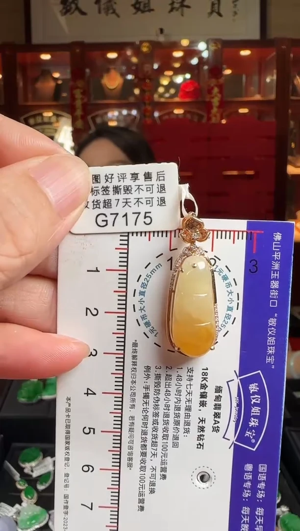 翡翠18K金镶嵌颈饰G7175冰黄富贵豆