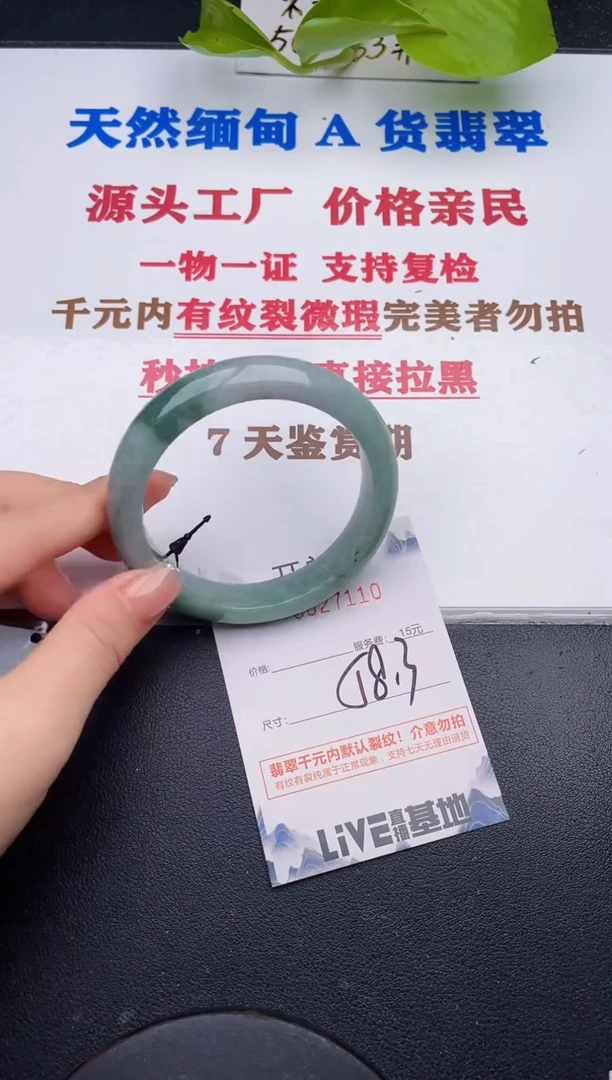 未镶嵌手镯翡翠10