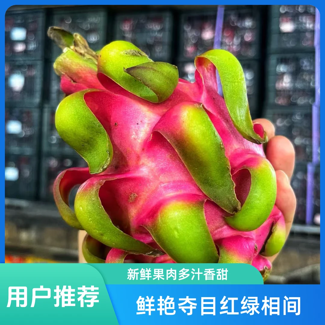 越南红心火龙果新疆直发1.6kg新鲜