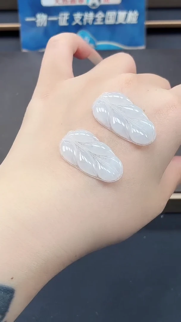 颈饰未镶嵌翡翠DLZ25090833