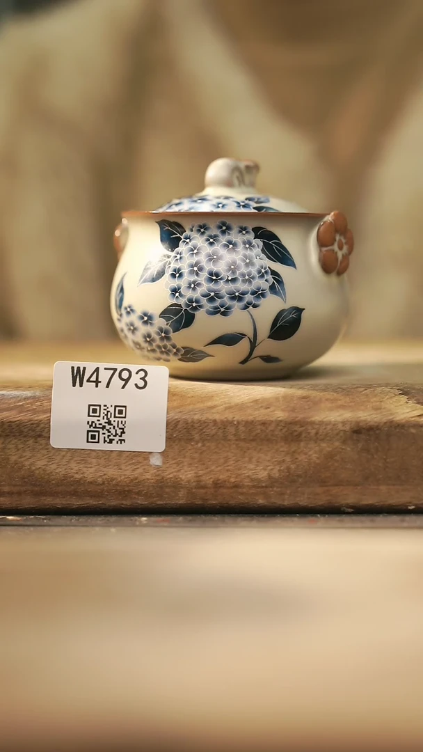 【闪购商品】【经典福利】/ 宝瓶@@W4793