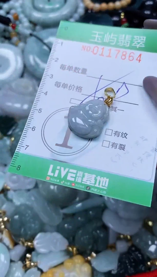 翡翠未镶嵌颈饰闪购0117864多样性发其一
