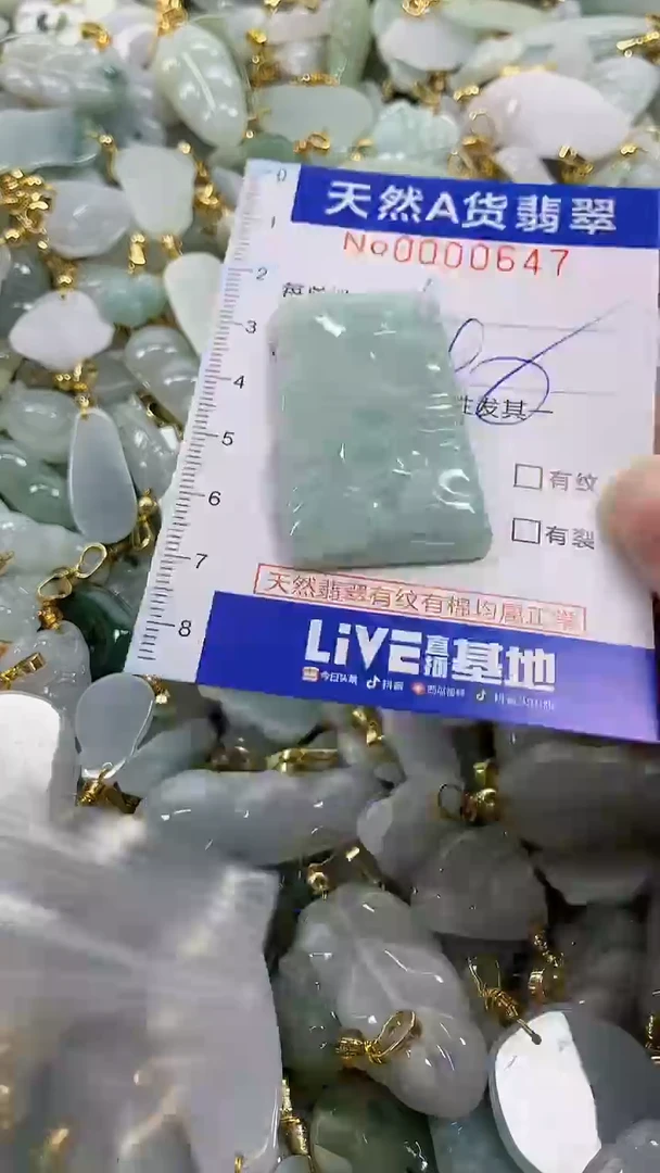 颈饰未镶嵌翡翠纯天然a货翡翠