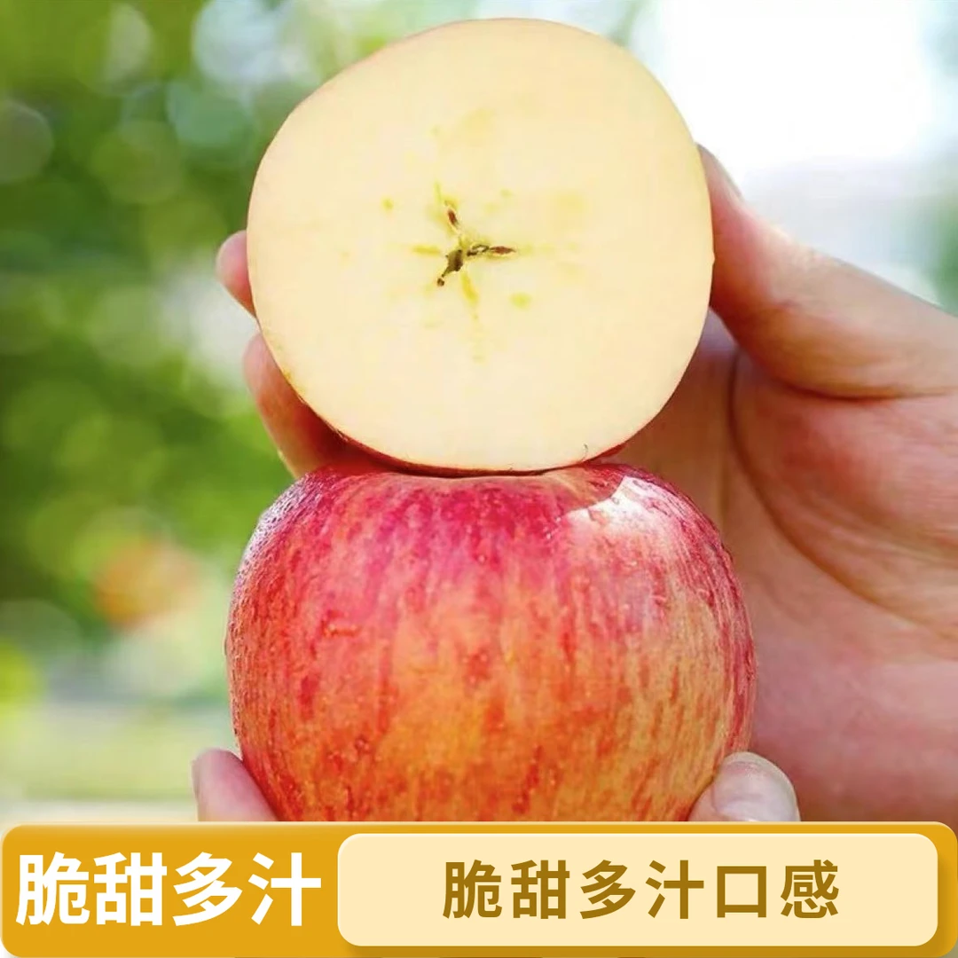 山东烟台红富士苹果现摘现发脆甜多汁4.5斤装烟台苹果