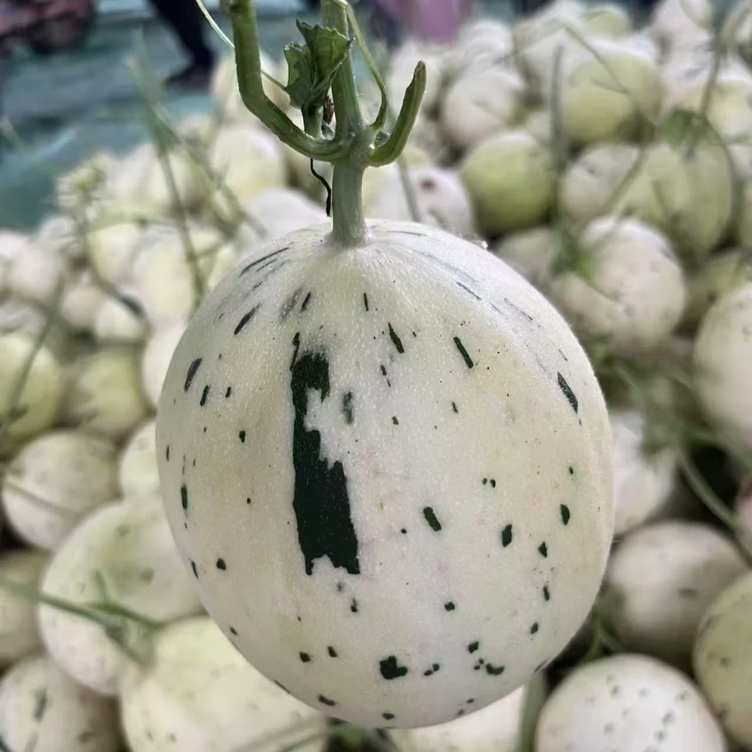 流星蜜瓜2颗/箱