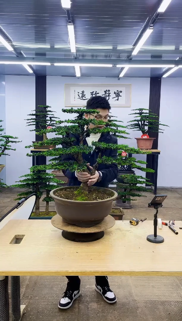 无花朵0000000000000000000000