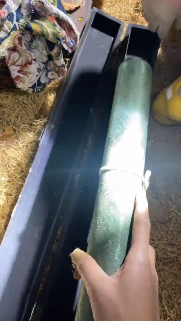 香榧木1个小卷（）