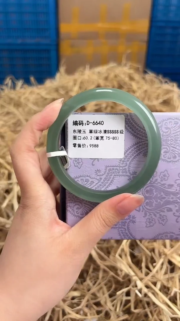 未镶嵌手镯石英质玉D-6640