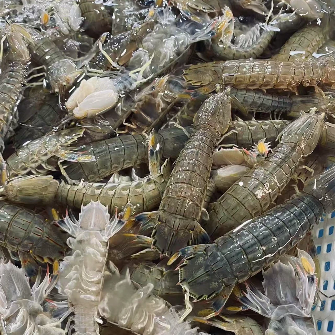 （现挑现发）缺氧肥美大皮皮虾2斤装/加冰发货/不保活/杭州同城1小时